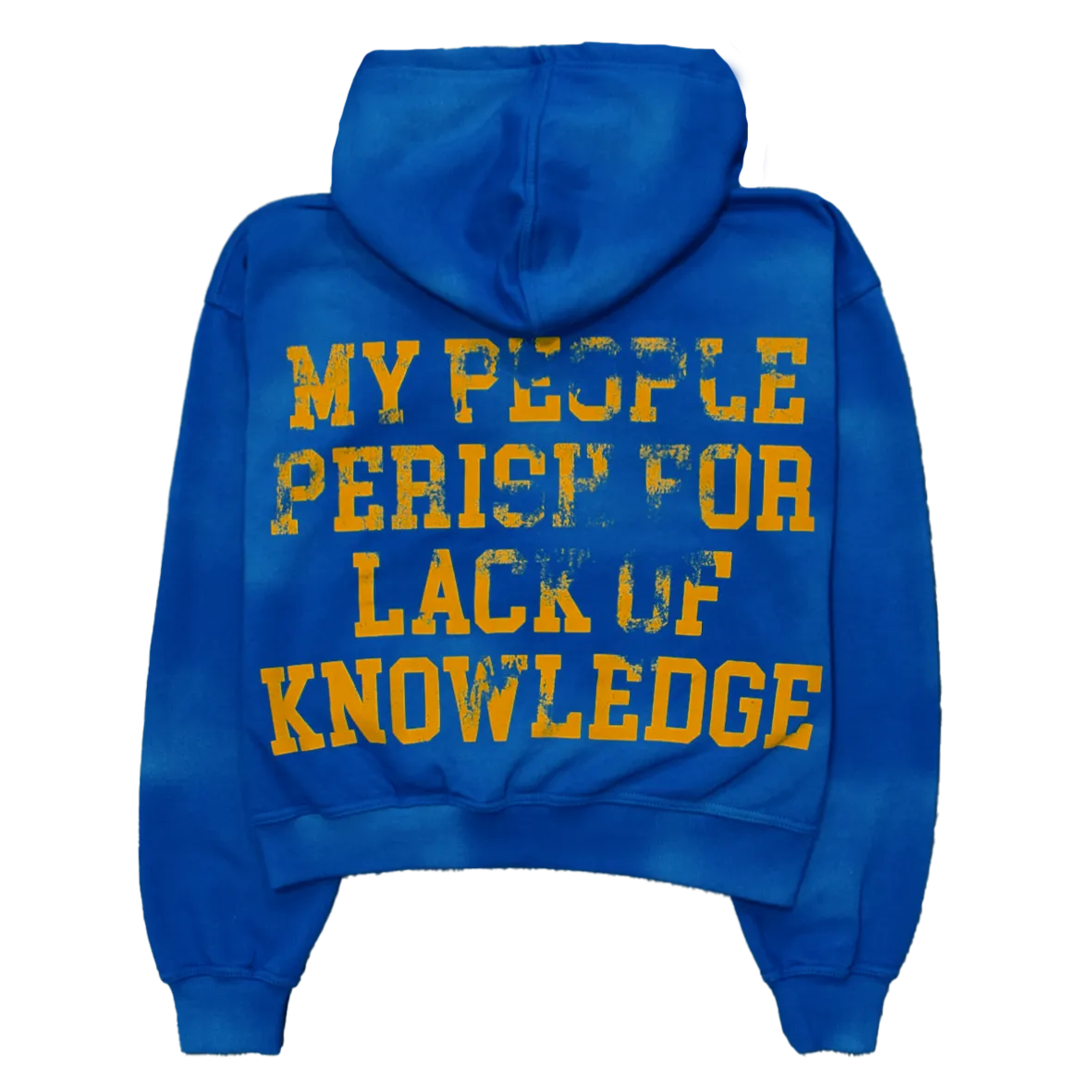 Academy Sun Faded Zip-Up Hoodie- Royal Blue