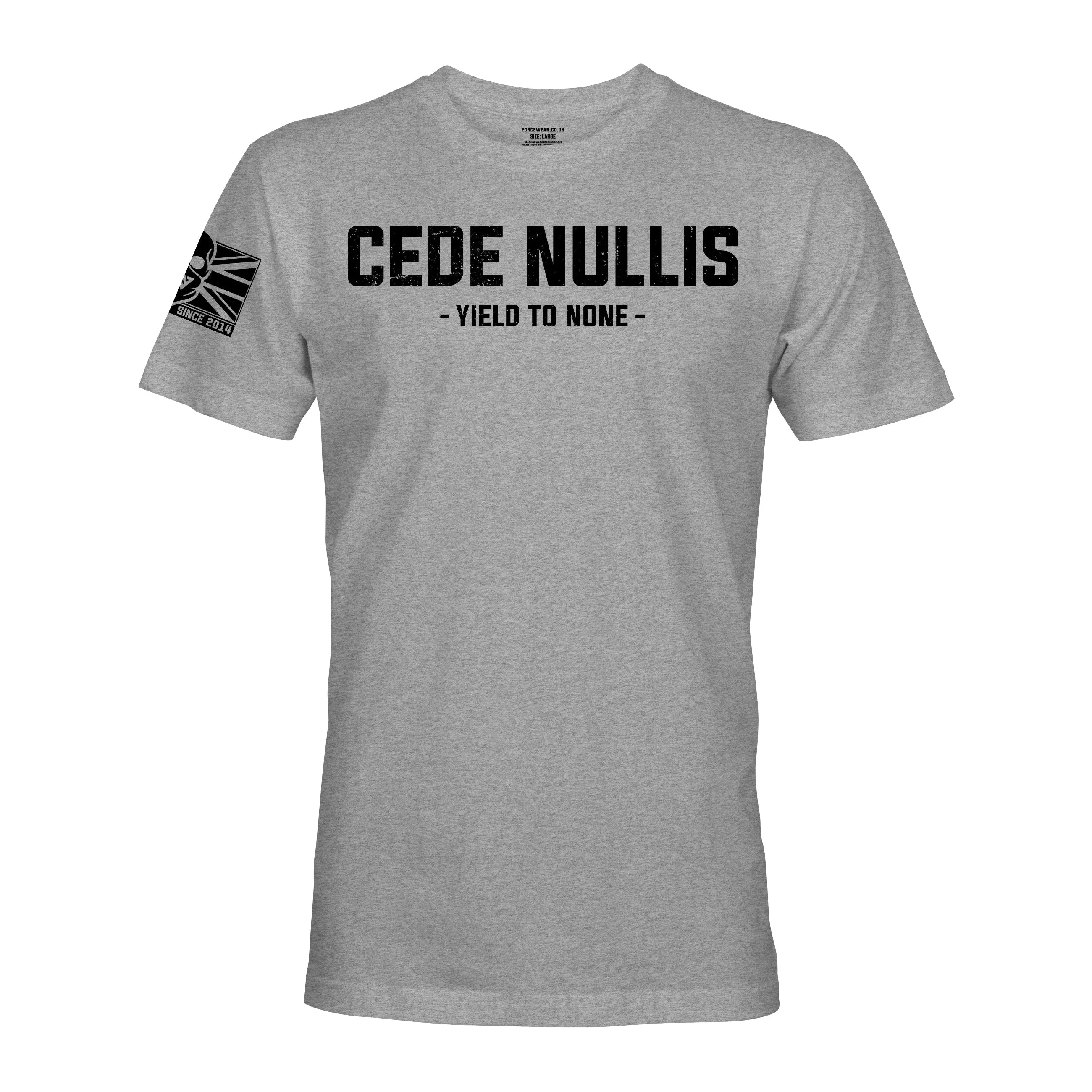 CEDE NULLIS (THE LIGHT INFANTRY)