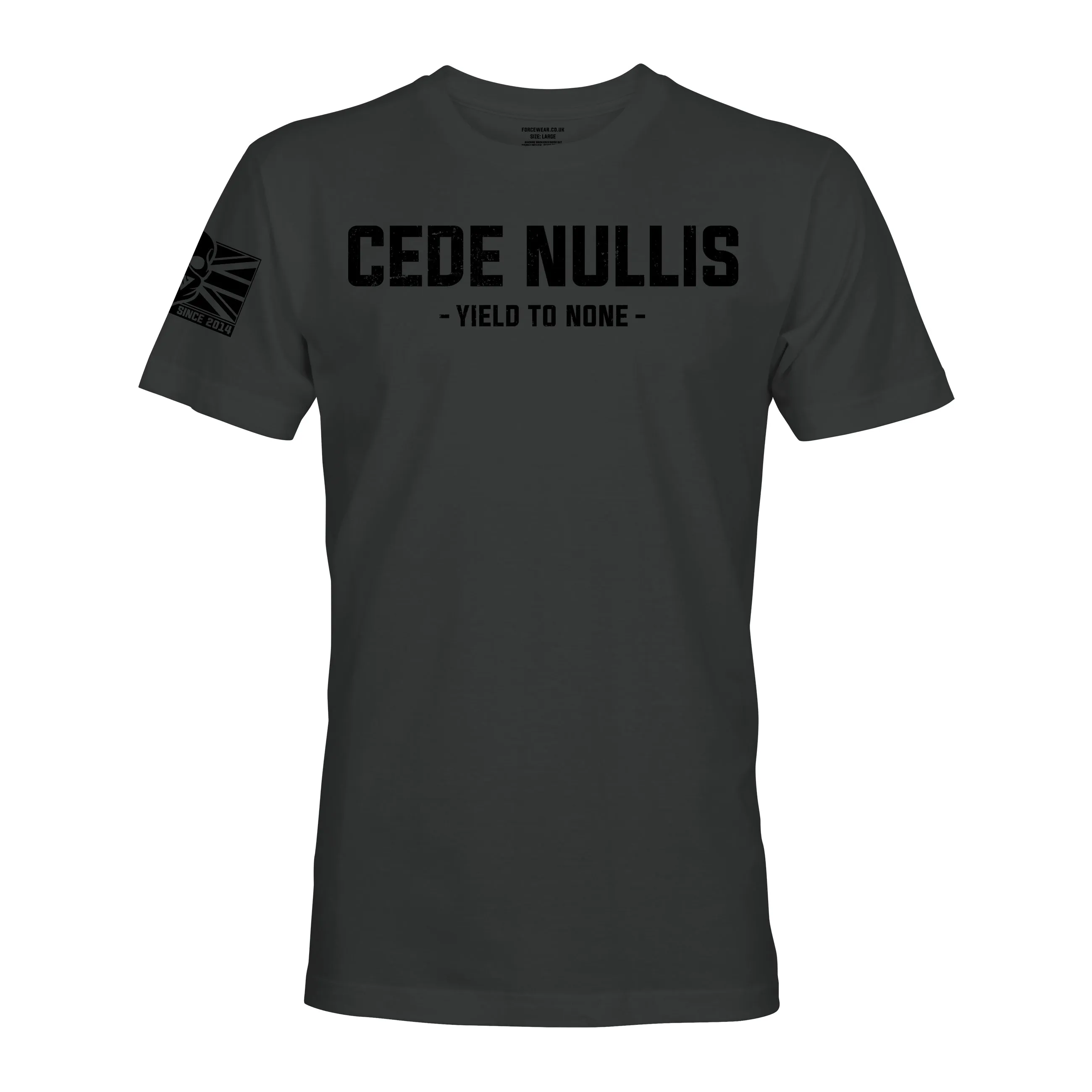 CEDE NULLIS (THE LIGHT INFANTRY)