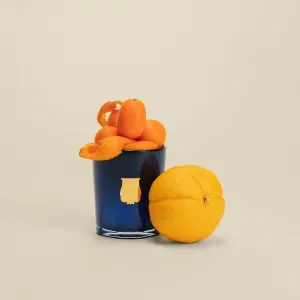 Cire Trudon Reggio La Petite Bougie Candle