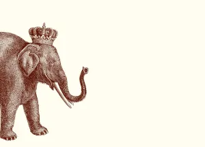 Customizable Lucky Elephant A6 Notes