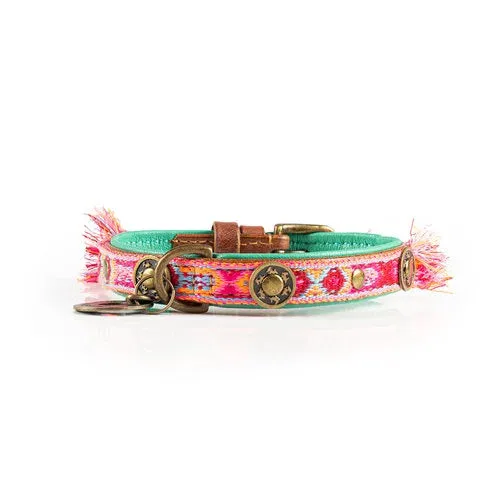 Dog with a Mission -BOHO Rosa Dog Collar