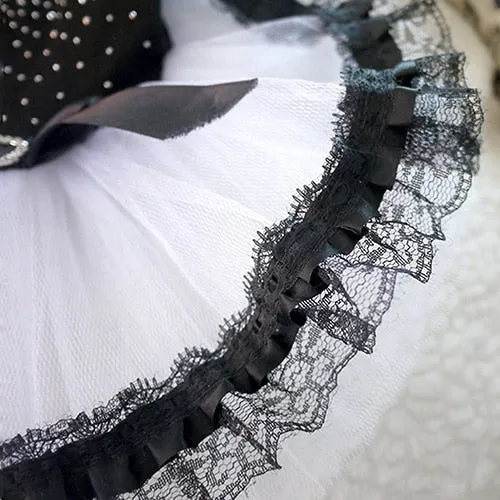 Dog's Gothic Lace Dress