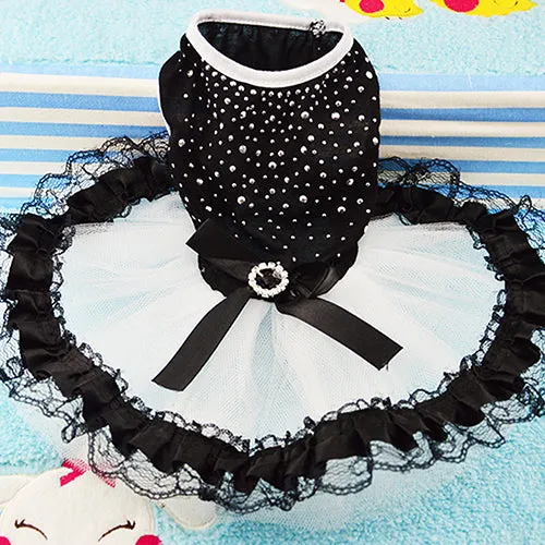 Dog's Gothic Lace Dress