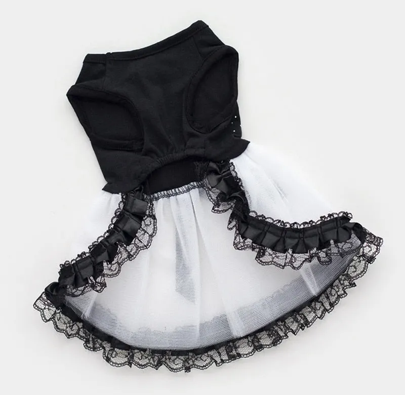 Dog's Gothic Lace Dress