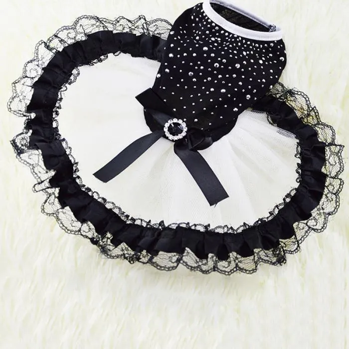 Dog's Gothic Lace Dress