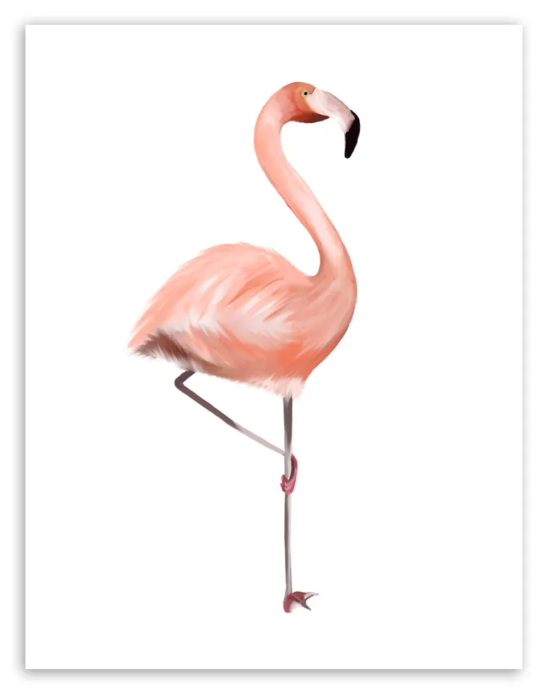 Flamingo Bird Art Print
