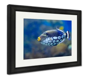 Framed Print, Underwater Image Of Tropical Fishes