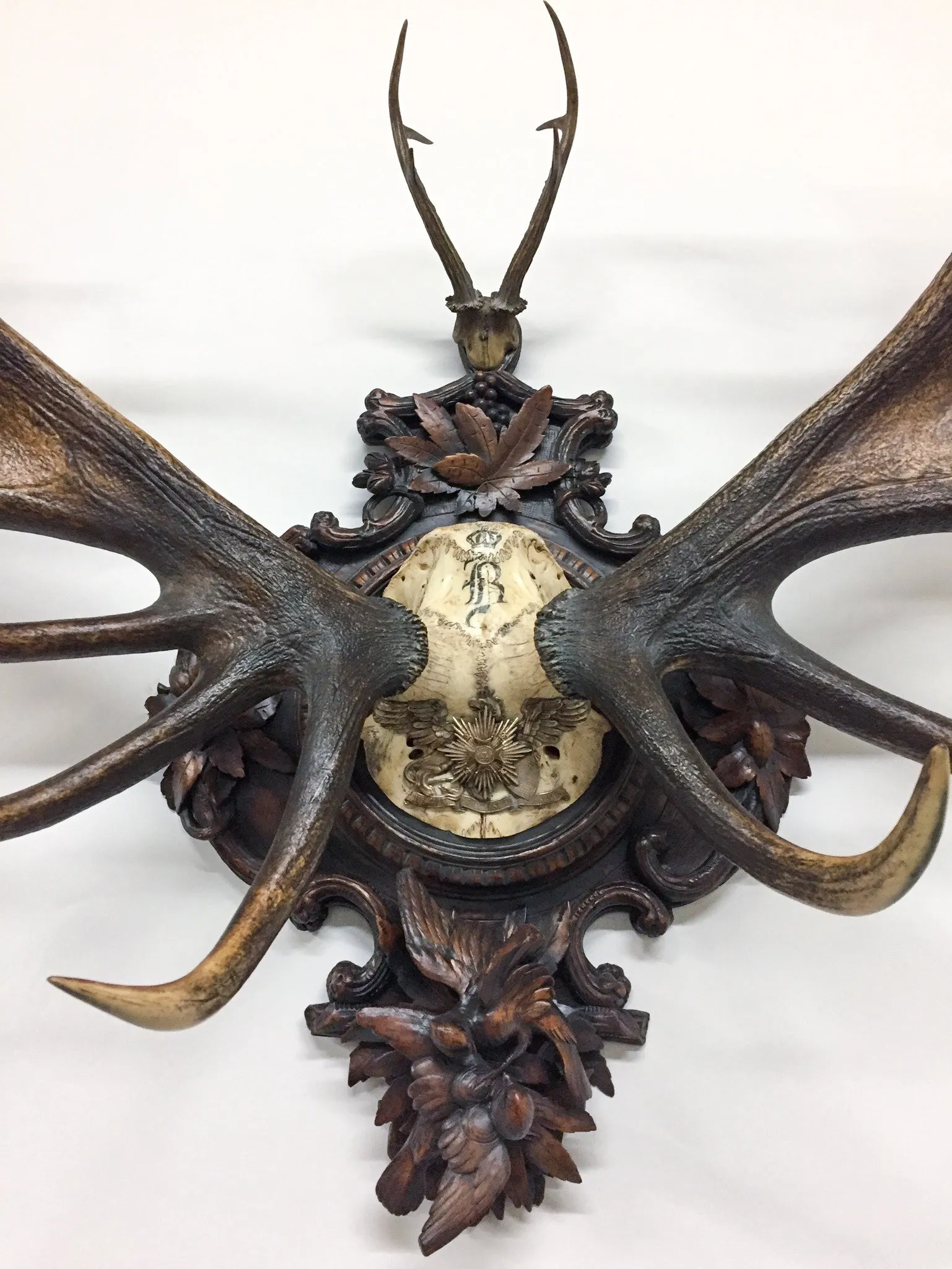 Grand Dukes of Baden Red Stag Trophy on Hand Carved Black Forest Plaque