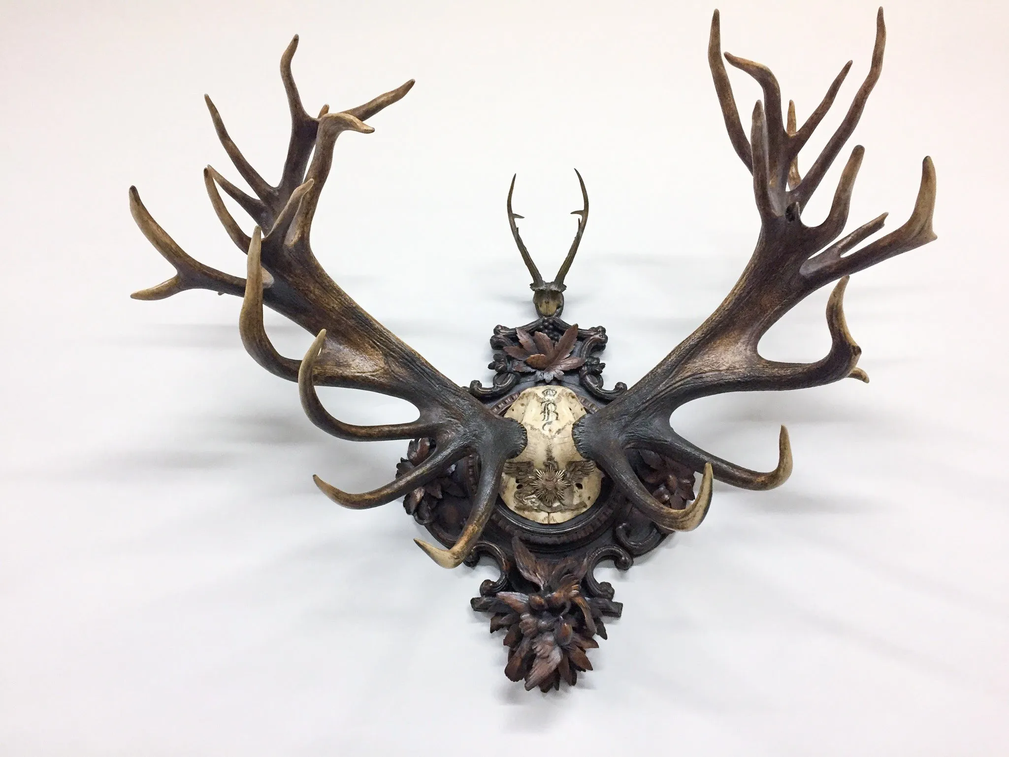 Grand Dukes of Baden Red Stag Trophy on Hand Carved Black Forest Plaque