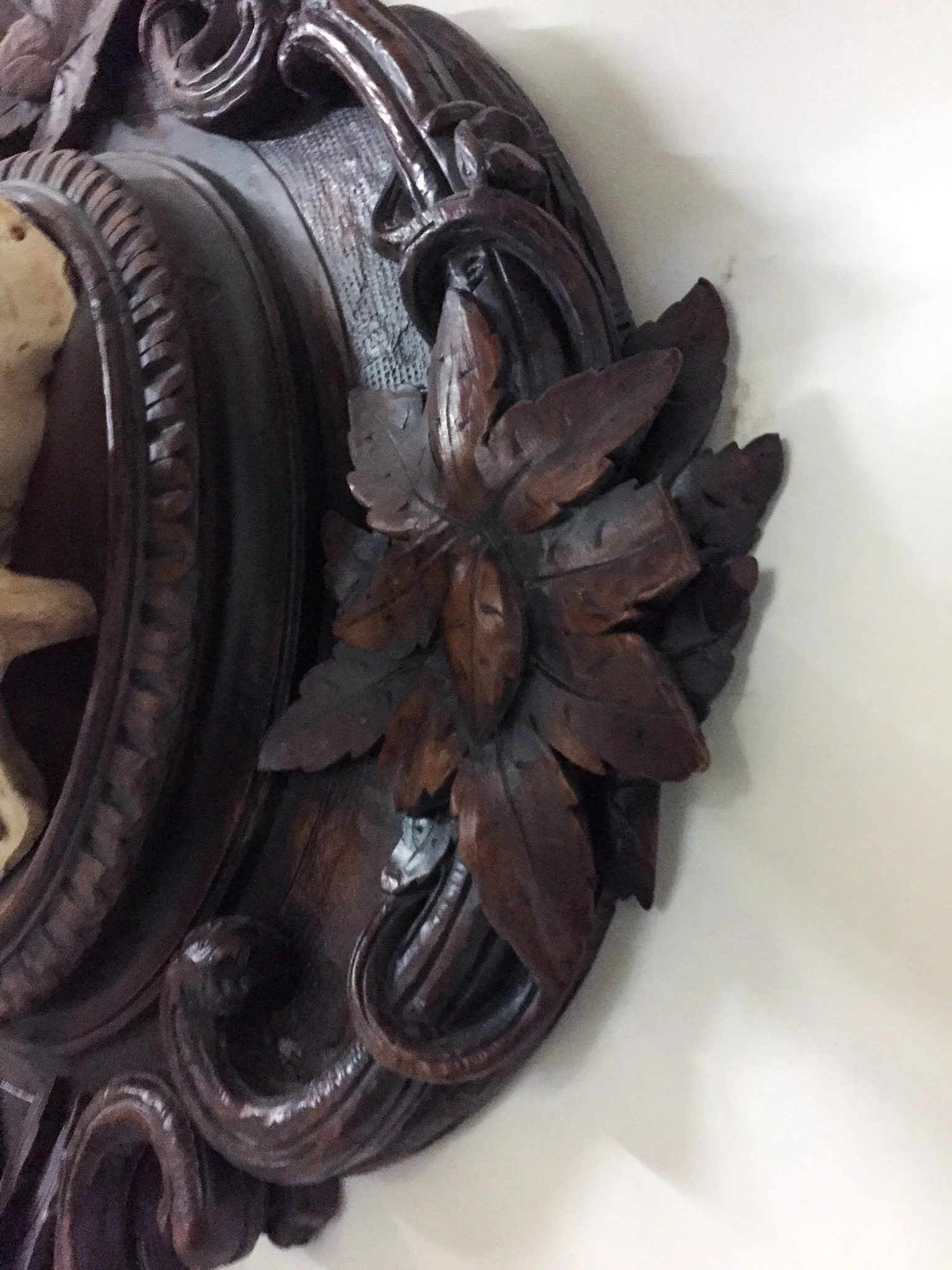 Grand Dukes of Baden Red Stag Trophy on Hand Carved Black Forest Plaque