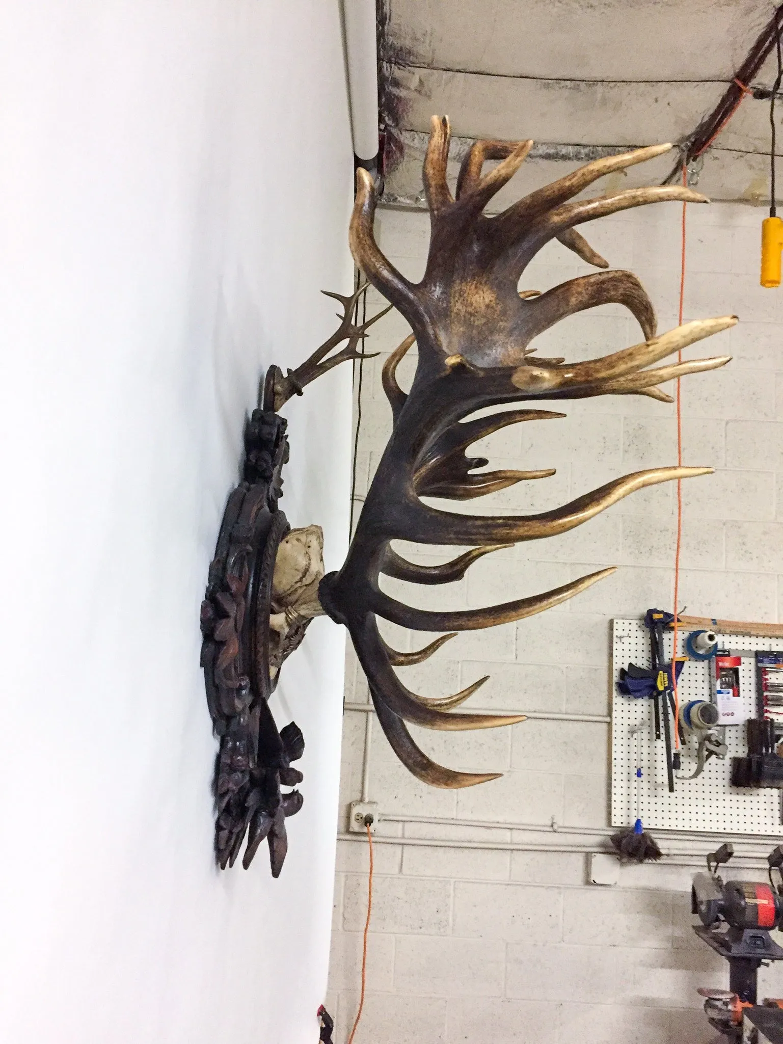 Grand Dukes of Baden Red Stag Trophy on Hand Carved Black Forest Plaque
