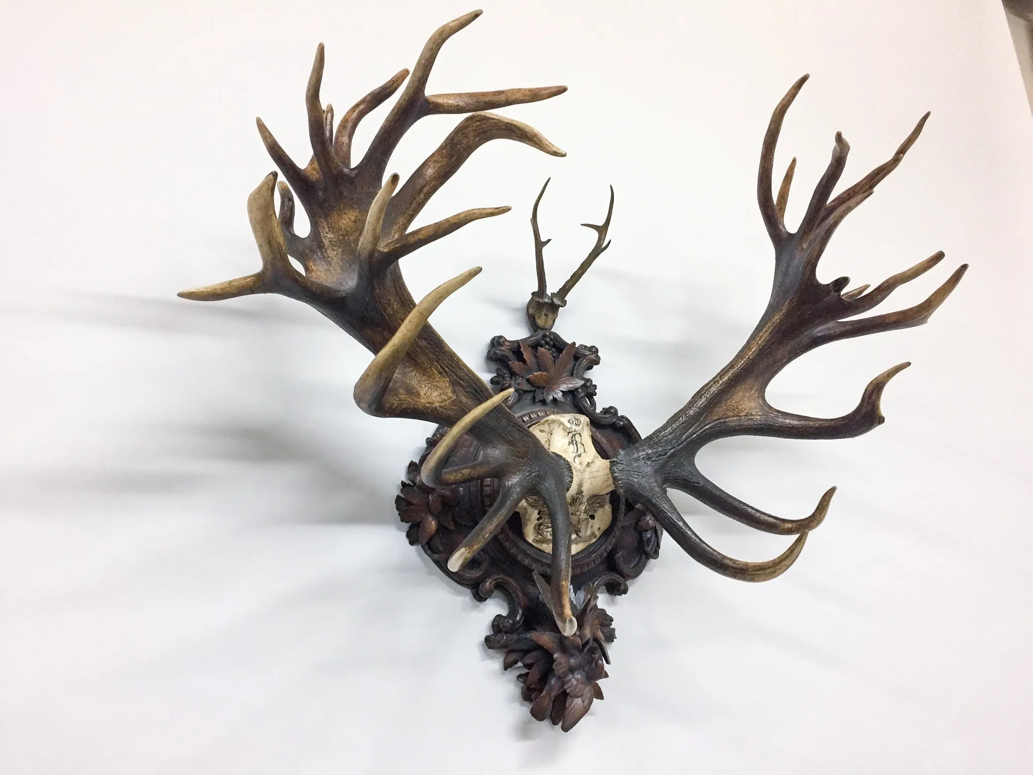 Grand Dukes of Baden Red Stag Trophy on Hand Carved Black Forest Plaque