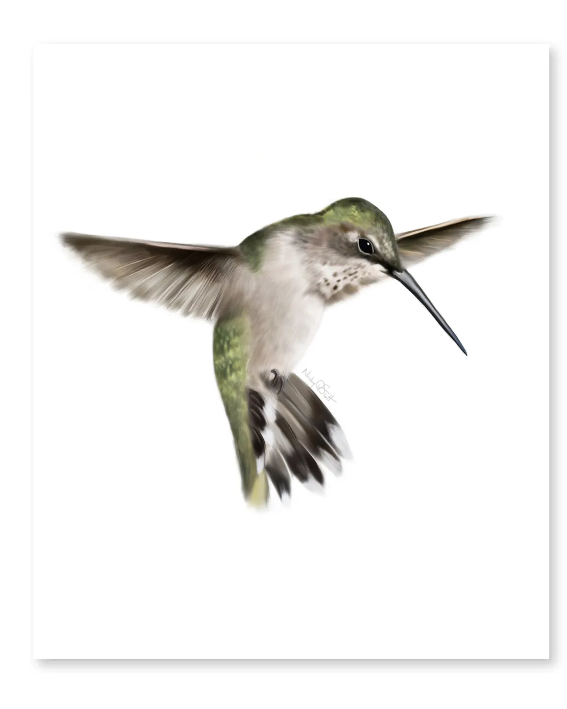 Hummingbird 2 Art Print
