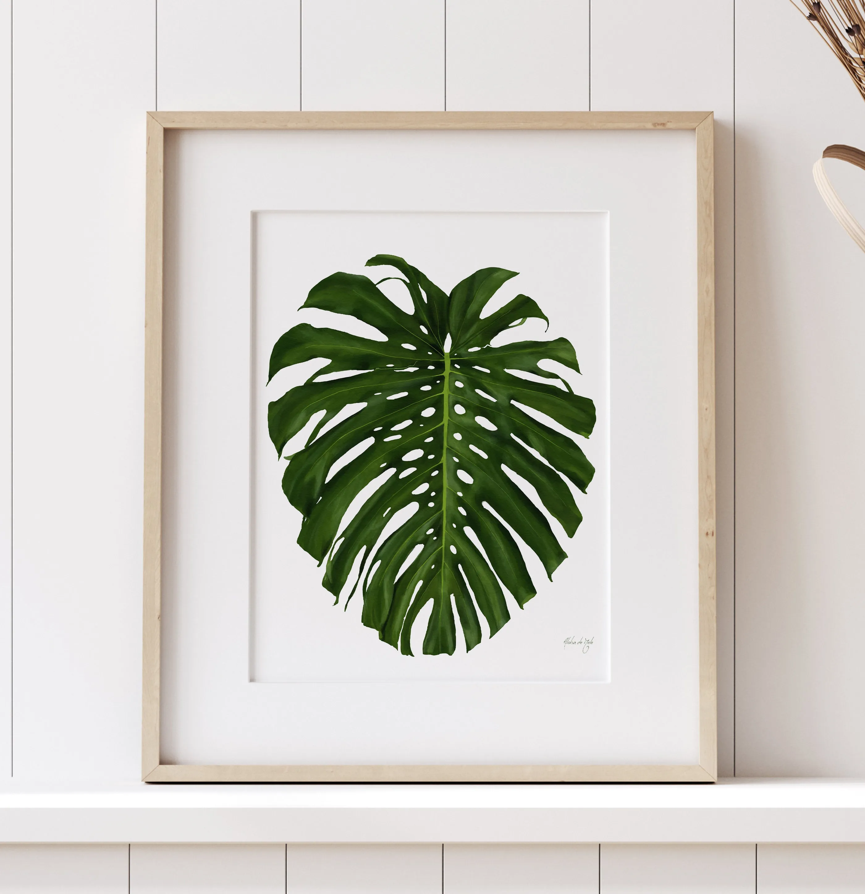 Monstera