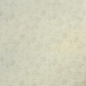 Narikala-Cloud