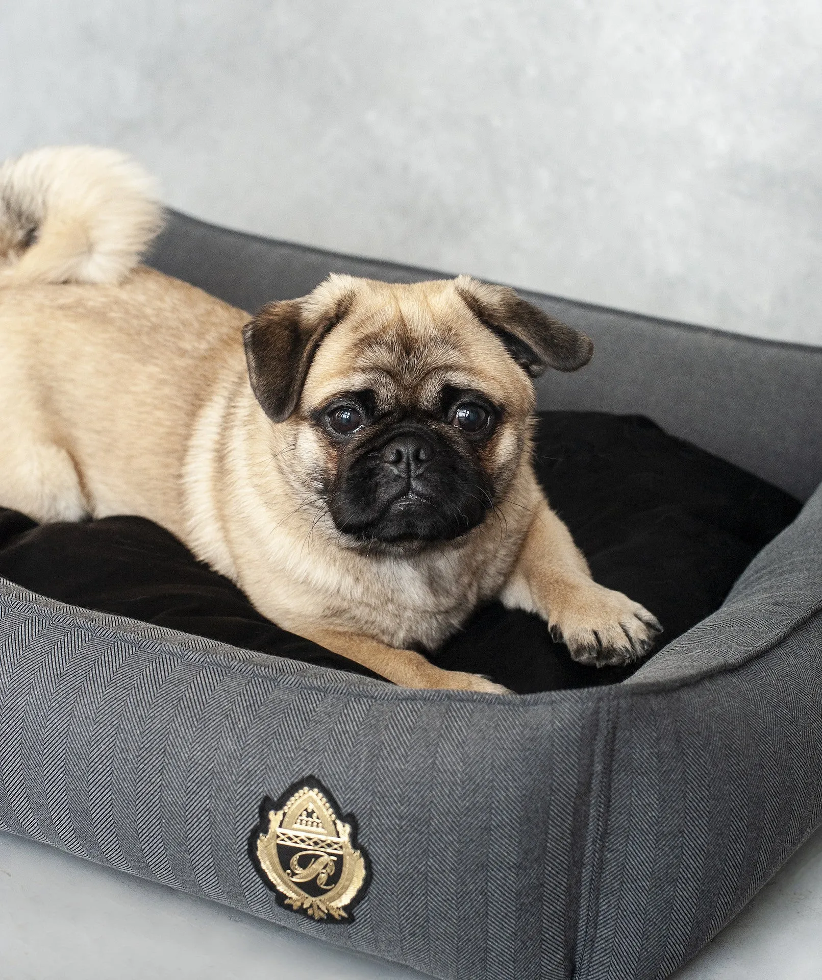 Oh Charlie Square Dog Bed Royal