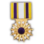 PINS- MEDAL, USAF DIST. SERV. (1-3/16")