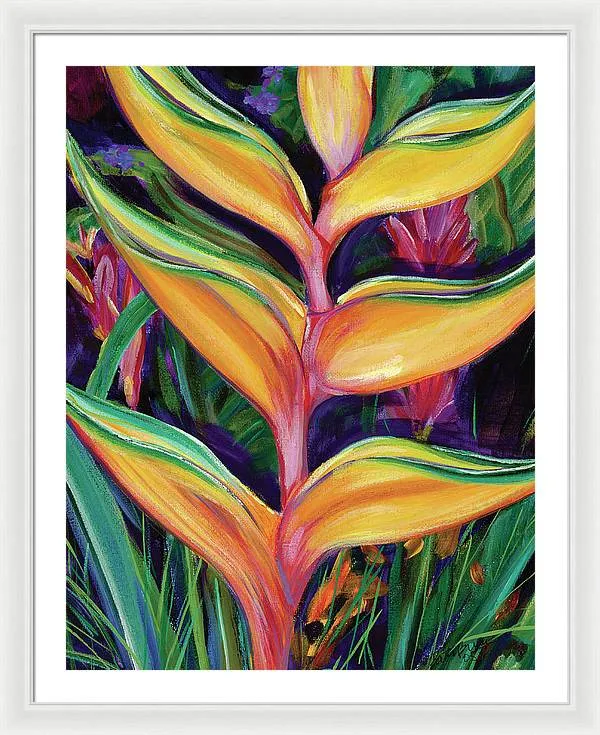 "Heliconia"  Tropical Flower - Framed Print