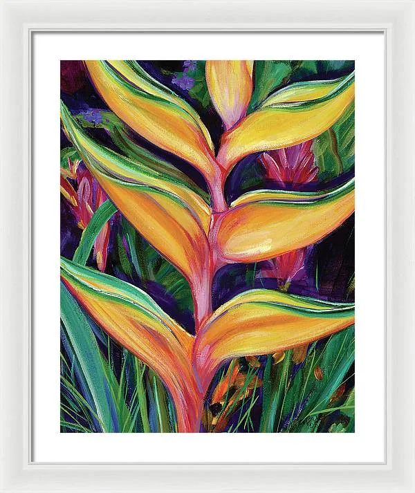 "Heliconia"  Tropical Flower - Framed Print