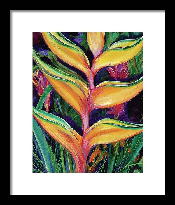 "Heliconia"  Tropical Flower - Framed Print