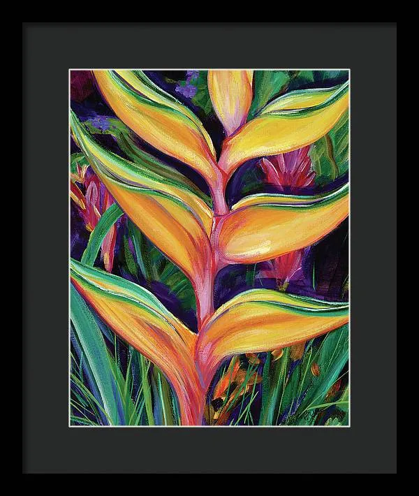 "Heliconia"  Tropical Flower - Framed Print