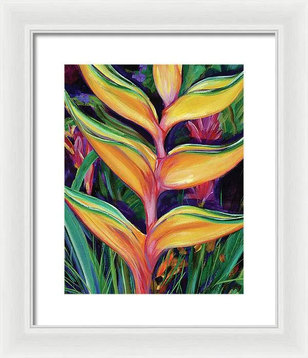 "Heliconia"  Tropical Flower - Framed Print