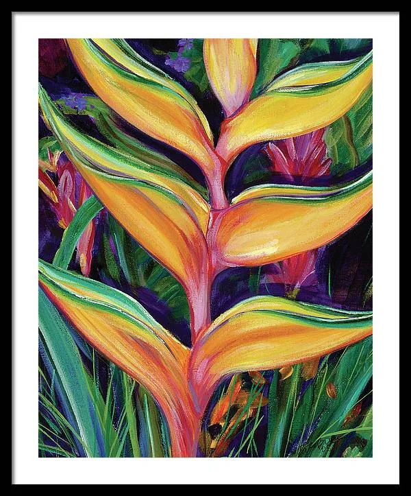 "Heliconia"  Tropical Flower - Framed Print