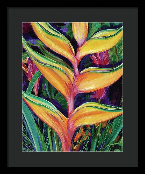 "Heliconia"  Tropical Flower - Framed Print