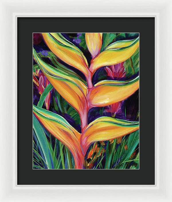 "Heliconia"  Tropical Flower - Framed Print