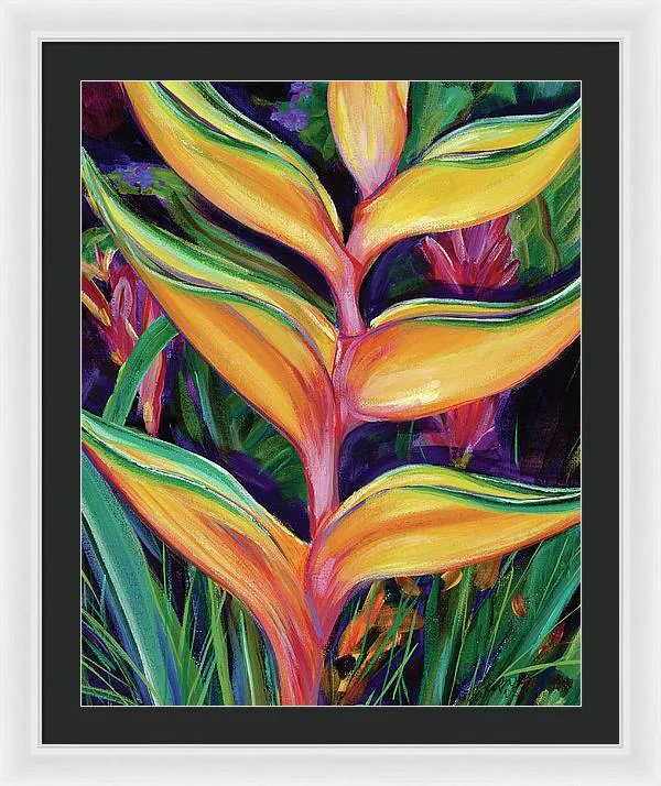 "Heliconia"  Tropical Flower - Framed Print