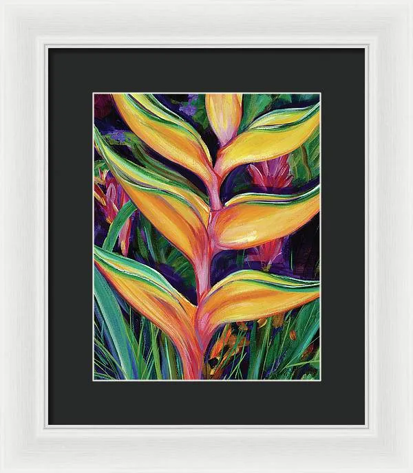 "Heliconia"  Tropical Flower - Framed Print