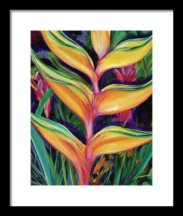 "Heliconia"  Tropical Flower - Framed Print