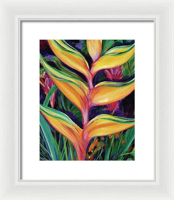 "Heliconia"  Tropical Flower - Framed Print