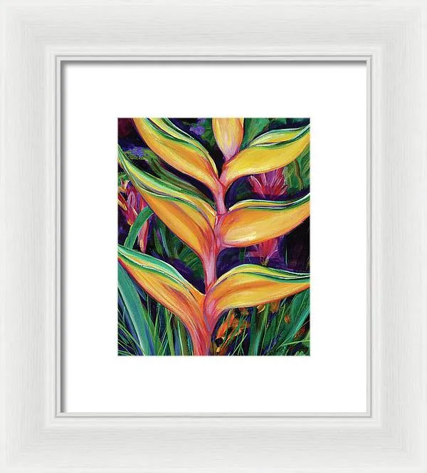 "Heliconia"  Tropical Flower - Framed Print