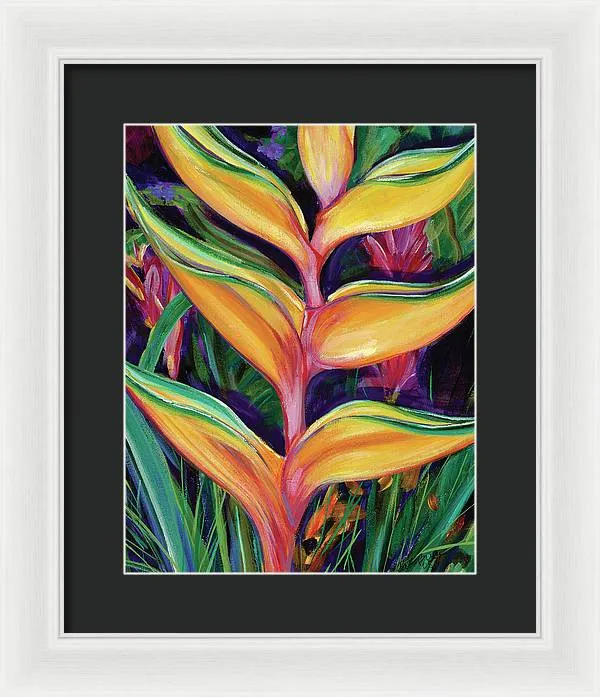 "Heliconia"  Tropical Flower - Framed Print