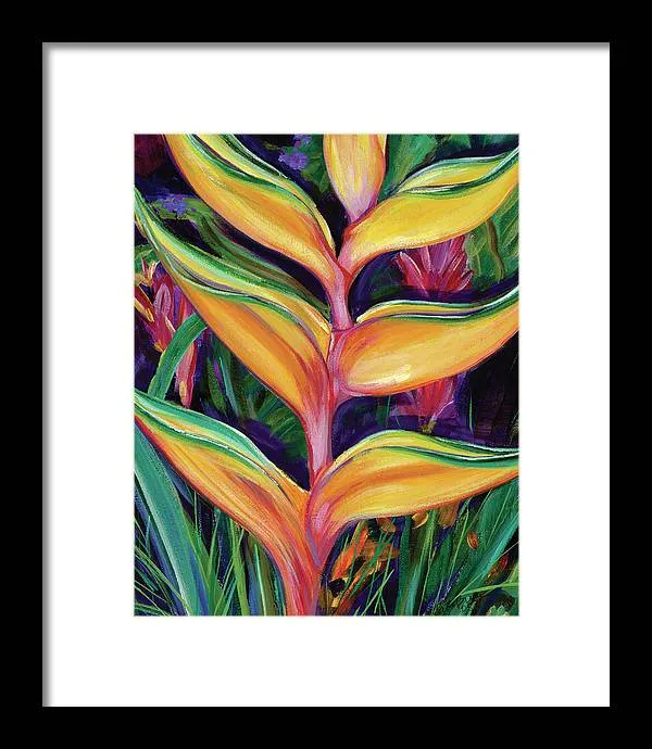 "Heliconia"  Tropical Flower - Framed Print