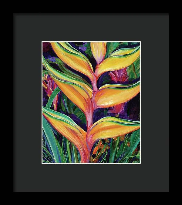 "Heliconia"  Tropical Flower - Framed Print