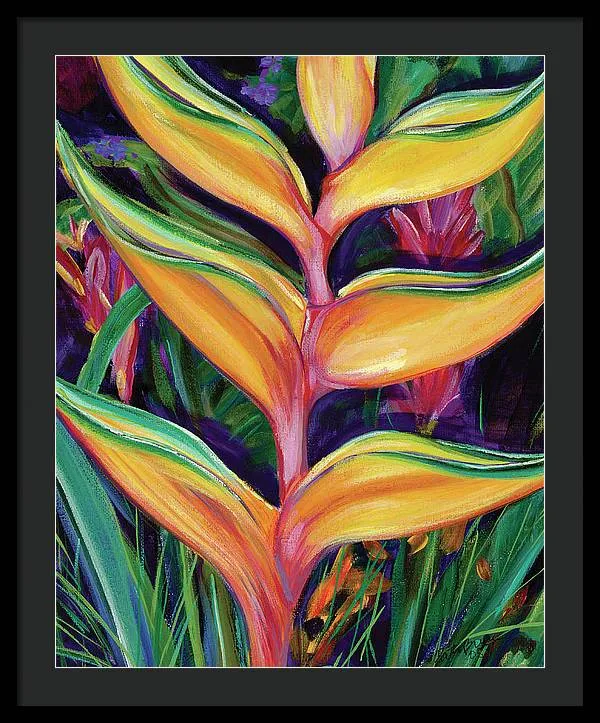 "Heliconia"  Tropical Flower - Framed Print