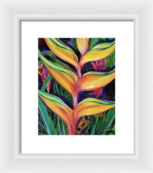 "Heliconia"  Tropical Flower - Framed Print