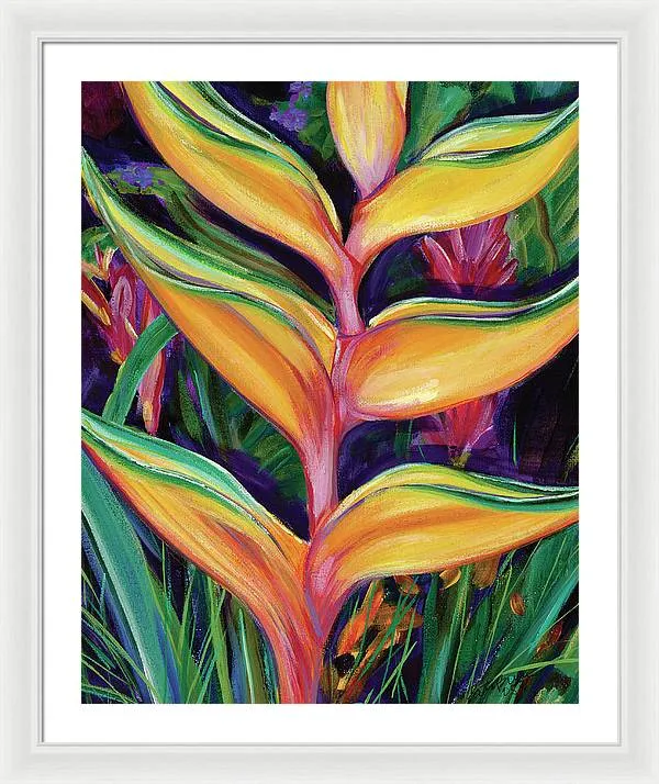 "Heliconia"  Tropical Flower - Framed Print