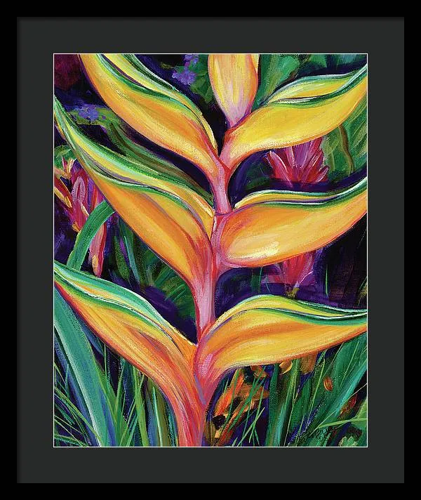 "Heliconia"  Tropical Flower - Framed Print