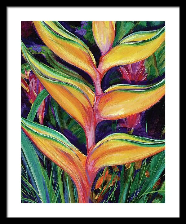 "Heliconia"  Tropical Flower - Framed Print
