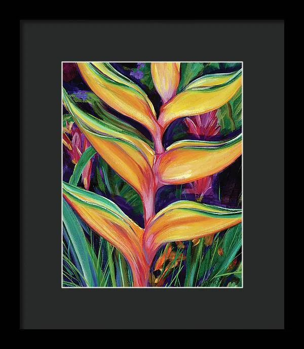 "Heliconia"  Tropical Flower - Framed Print