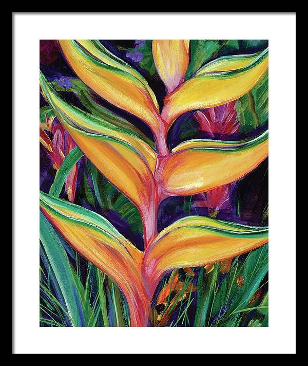 "Heliconia"  Tropical Flower - Framed Print