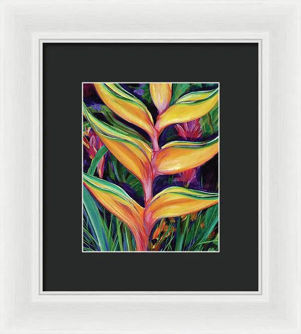 "Heliconia"  Tropical Flower - Framed Print