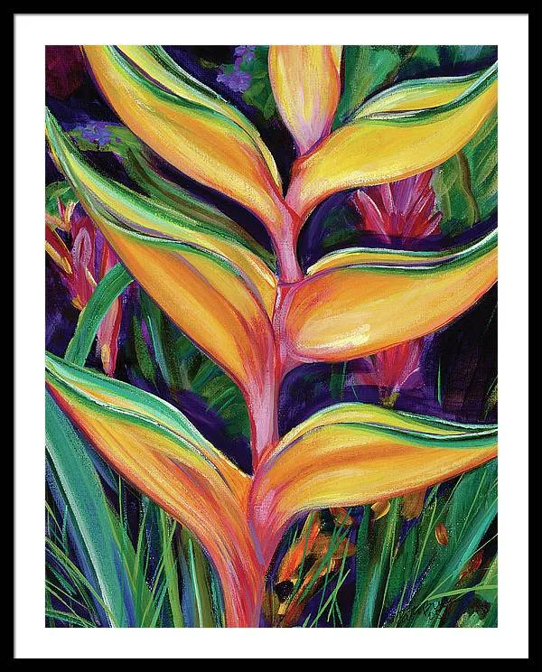 "Heliconia"  Tropical Flower - Framed Print