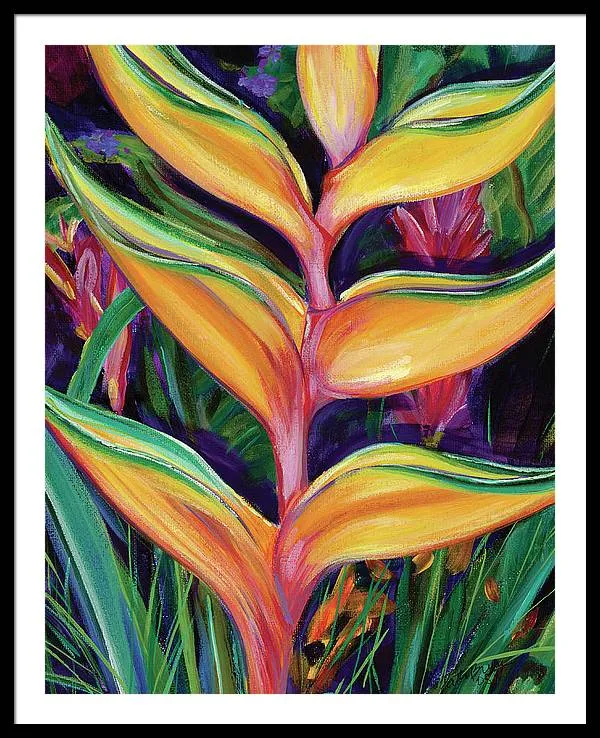 "Heliconia"  Tropical Flower - Framed Print