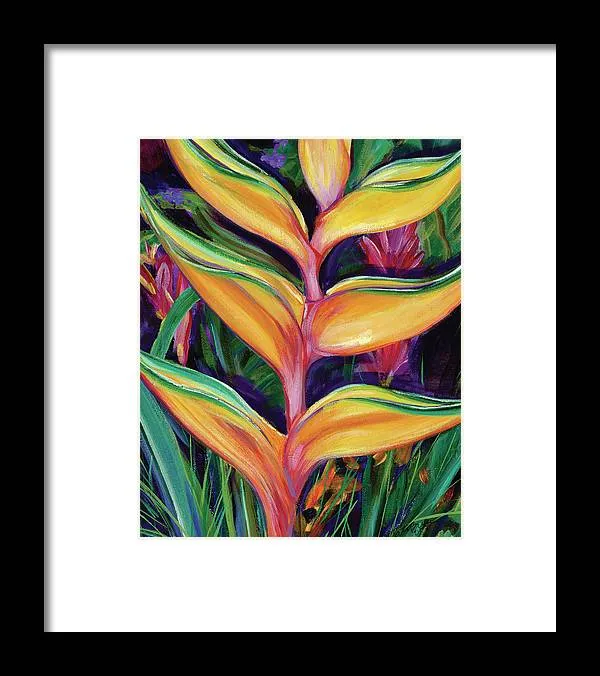"Heliconia"  Tropical Flower - Framed Print