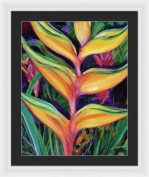 "Heliconia"  Tropical Flower - Framed Print